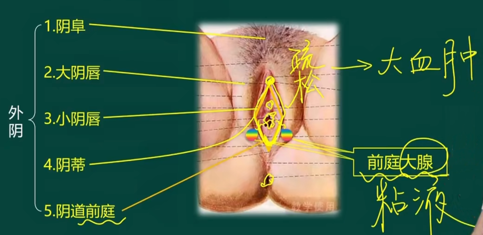 image-20260406153931868