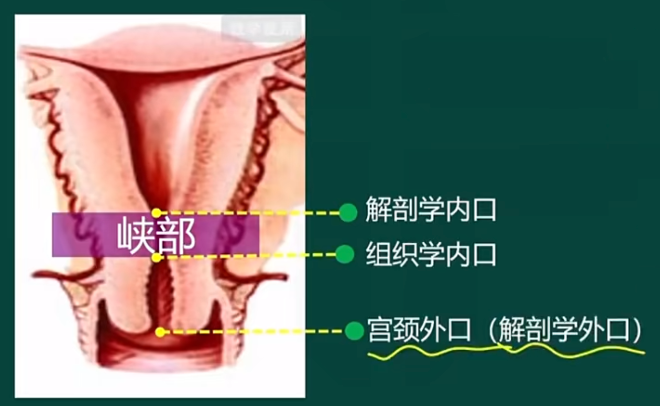 image-20260406160508083