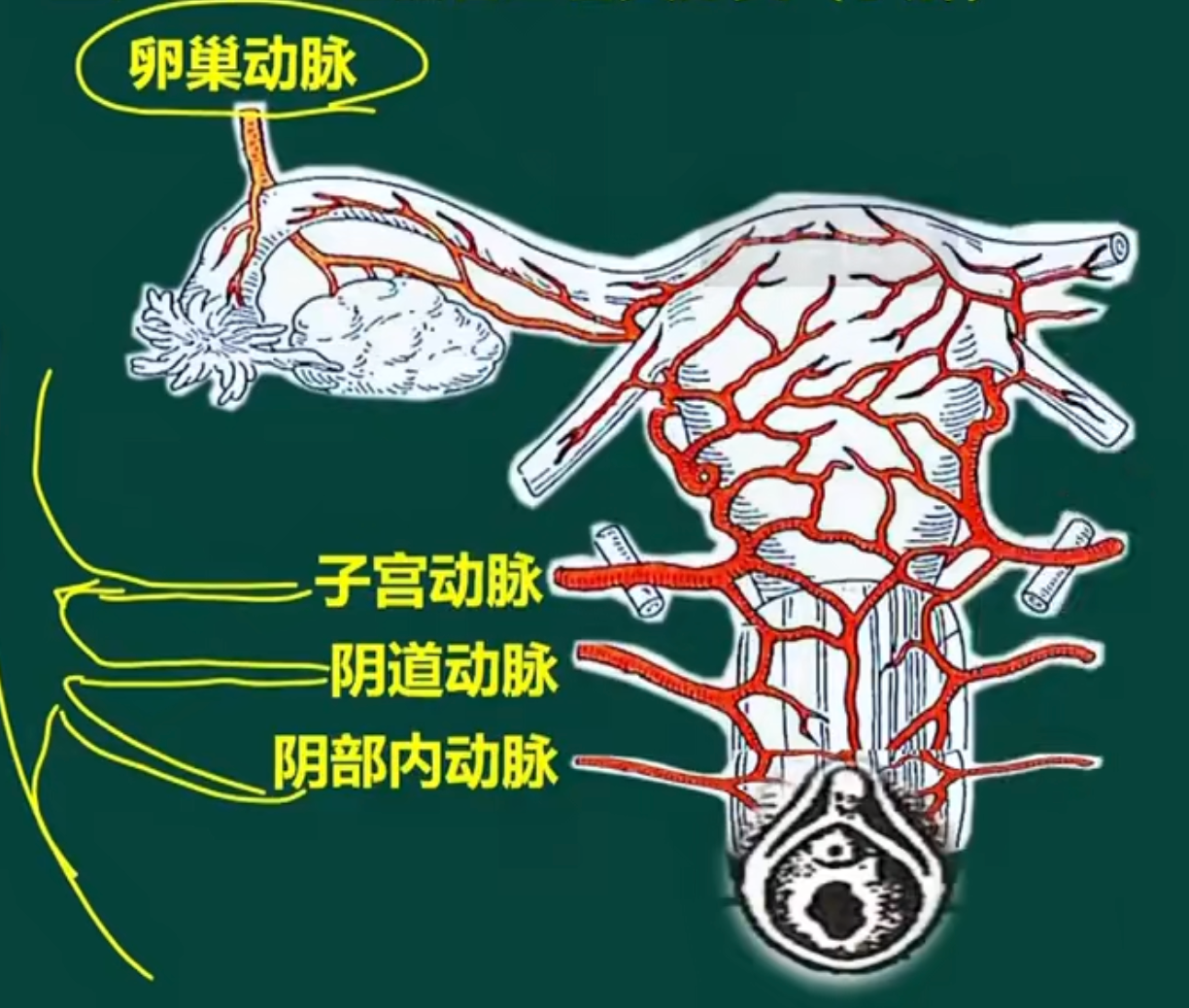 image-20260406203021344