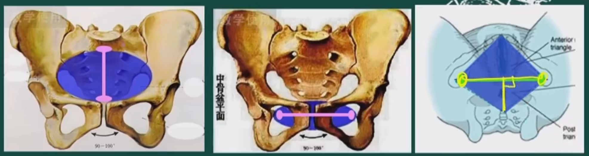 image-20260406210356650